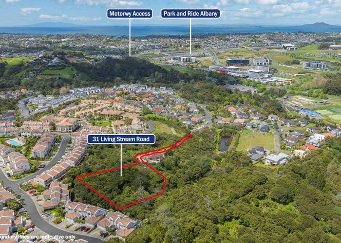  at 31 Living Stream Road, Albany Heights, Rodney, Auckland