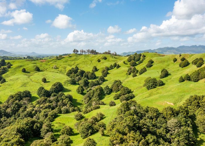  at Mangarata Block Road (63.23 ha), Tangiteroria, Kaipara, Northland