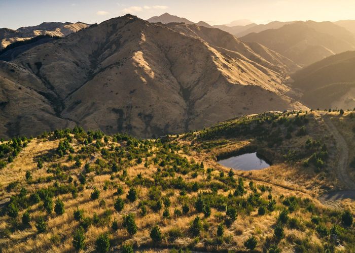  at 1067 Taylor Pass Road, Blenheim, Blenheim, Marlborough