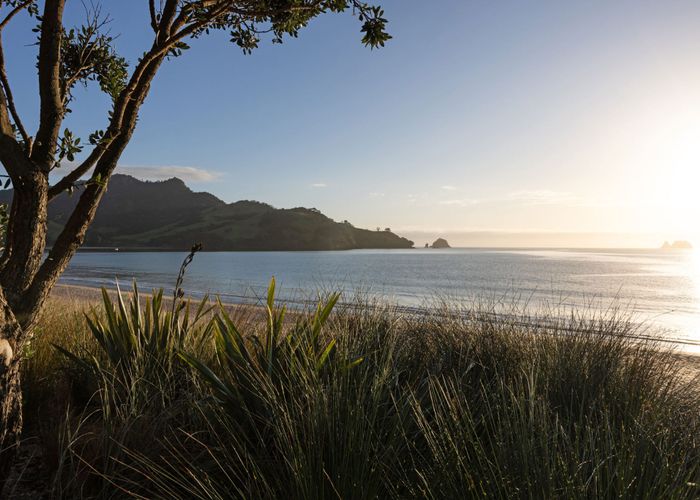  at Discovery Drive, Whitianga, Thames-Coromandel, Waikato