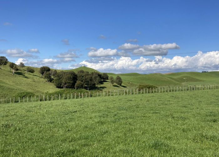  at 398 Finnis Road, Colyton, Manawatu, Manawatu / Whanganui