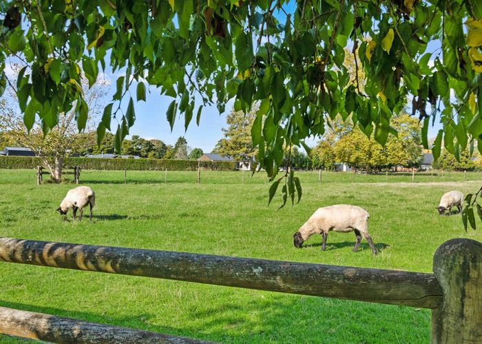  at 441 Kuranui Road, Morrinsville, Morrinsville