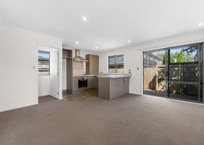  at 20 Stadium Lane, Whitiora, Hamilton
