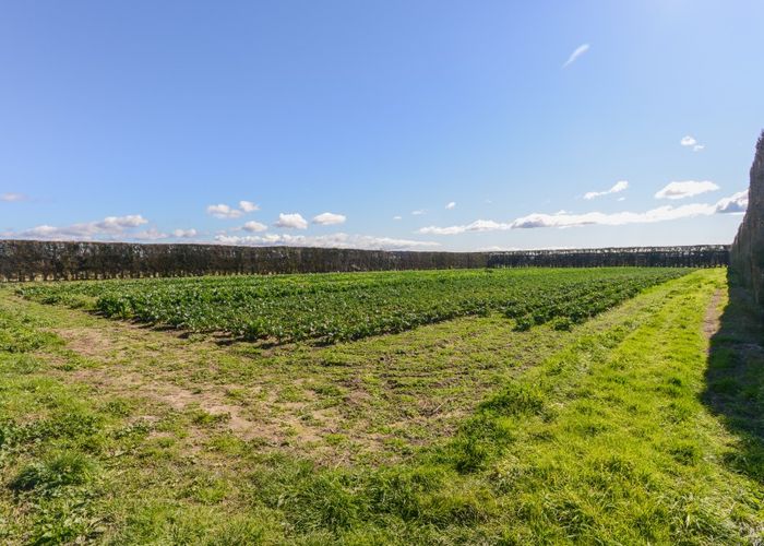  at 272 Meeanee Road, Meeanee, Napier