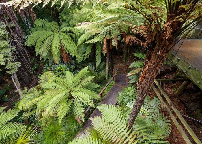  at 14A Macdiarmid Road, Beerescourt, Hamilton, Waikato