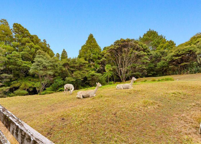  at 1119 Scenic Drive North, Swanson, Auckland