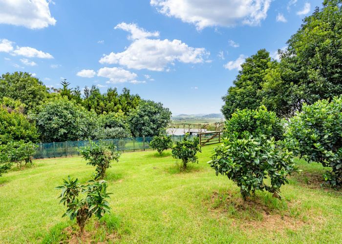  at 459 Apotu Road, Kamo