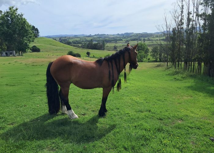  at 20 Haywood Lane, Matakana, Rodney, Auckland