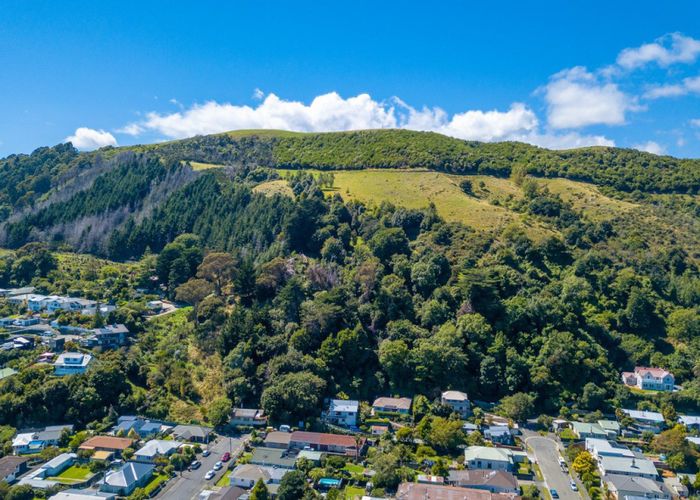  at 101 Cambria Street, The Wood, Nelson, Nelson / Tasman