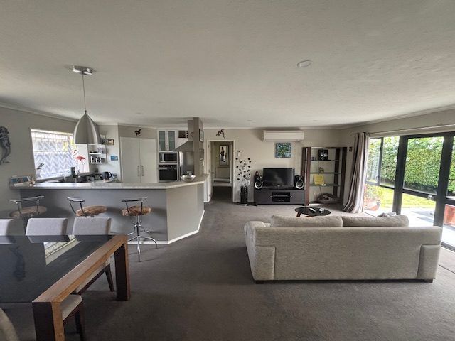  at 17 Showgate Ave, Sockburn, Christchurch City, Canterbury