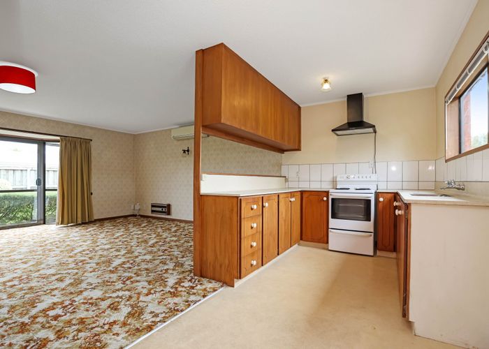  at 103 Chalmers Avenue, Hampstead, Ashburton, Canterbury