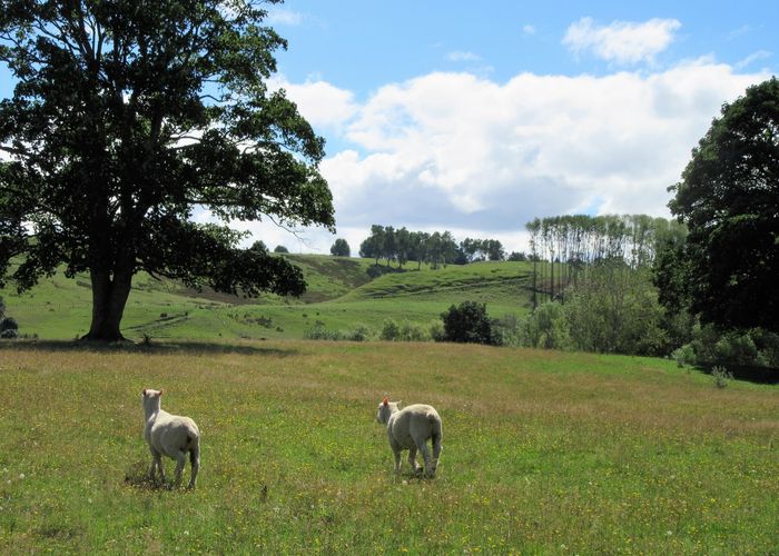  at 141B Waituna Tapuae Road, Waituna West