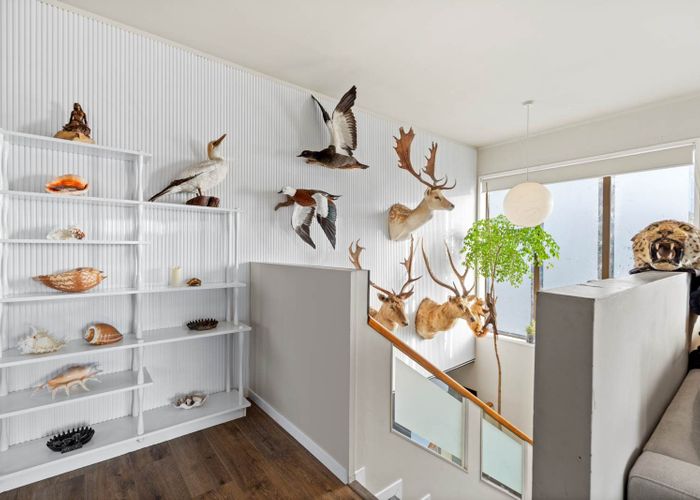  at 3 Elgin Place, Red Beach, Rodney, Auckland