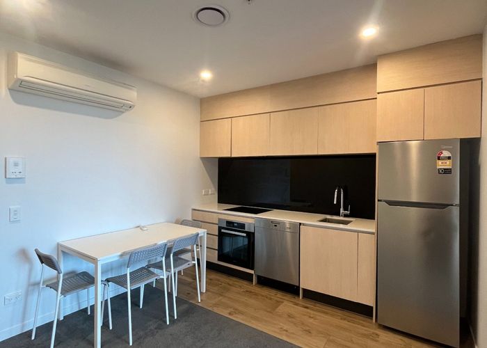  at 221/428 Dominion Road, Mount Eden, Auckland City, Auckland