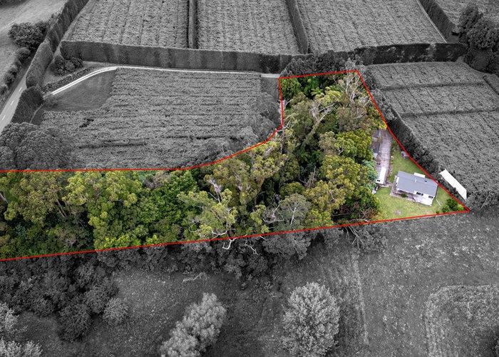  at 130 Walker Road, Tirohanga, Opotiki