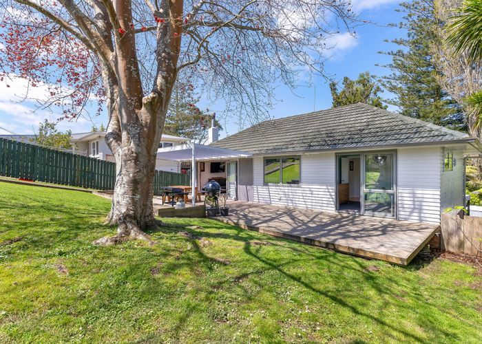  at 64 Taupo Street, Green Bay, Waitakere City, Auckland