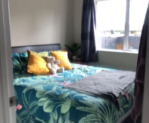  at 4 Kotuku Street, Frankton, Hamilton