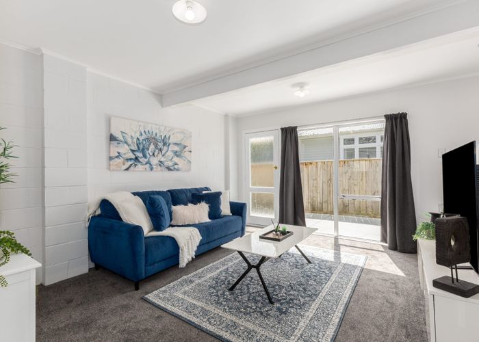  at 3/46 King Street, Ebdentown, Upper Hutt, Wellington