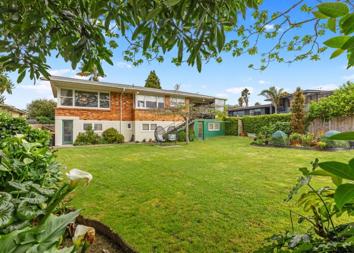  at 246 Maungatapu Road, Maungatapu, Tauranga