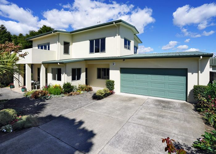  at 20 Ranfurly Avenue, Fairfield, Hamilton