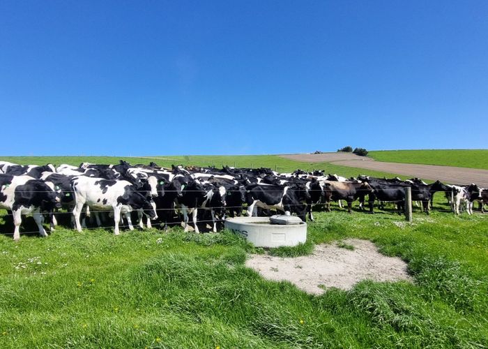  at Beggs Track, Balclutha, Clutha, Otago