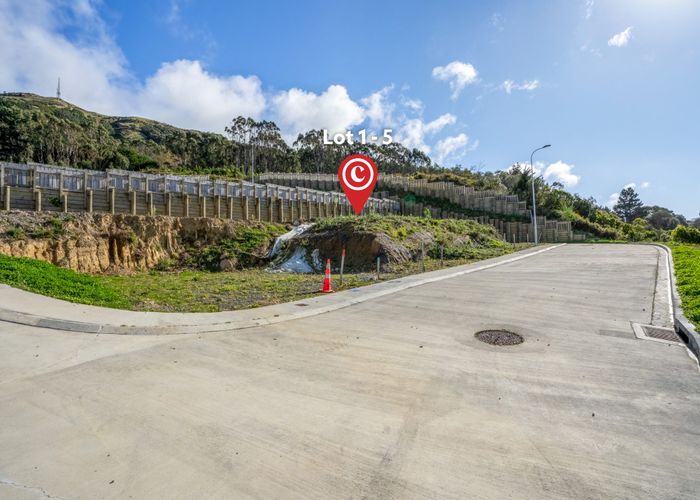  at 42 Raiha Street, Kenepuru, Porirua, Wellington