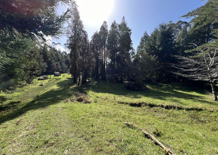 at 137 Clifton Road, Kaiata, Greymouth