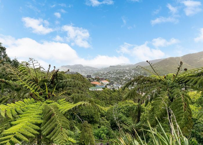  at 61 Satara Crescent, Khandallah, Wellington, Wellington