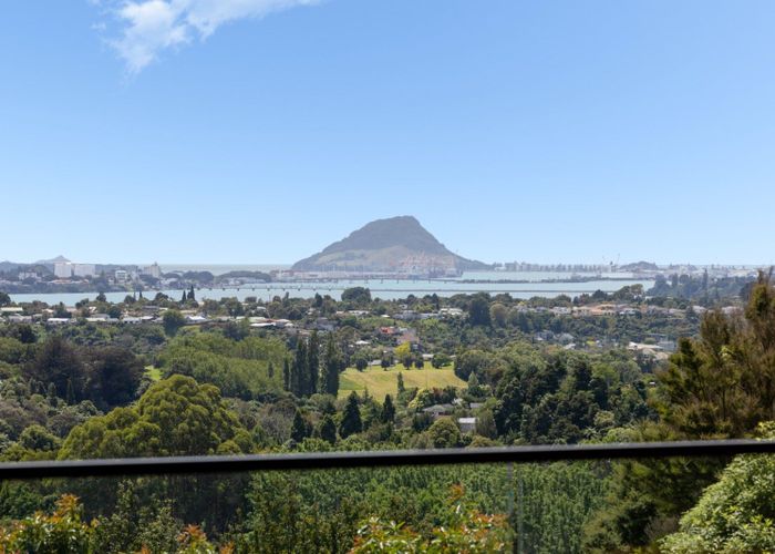  at 20 Blackberry Way, Welcome Bay, Tauranga
