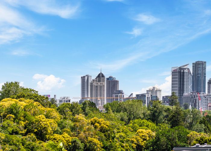  at 4/435 Parnell Road, Parnell, Auckland