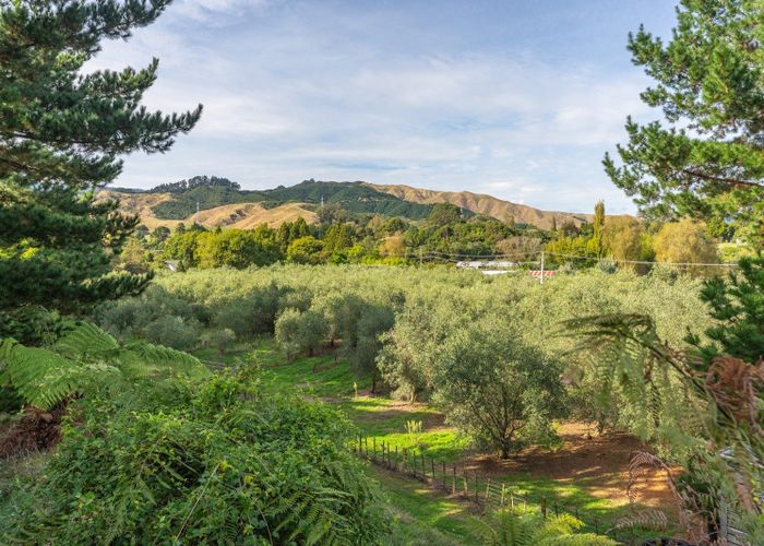  at 258 Waitohu Valley Road, Otaki