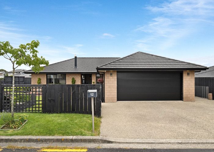  at 12 Hilltop Crescent, Corstorphine, Dunedin
