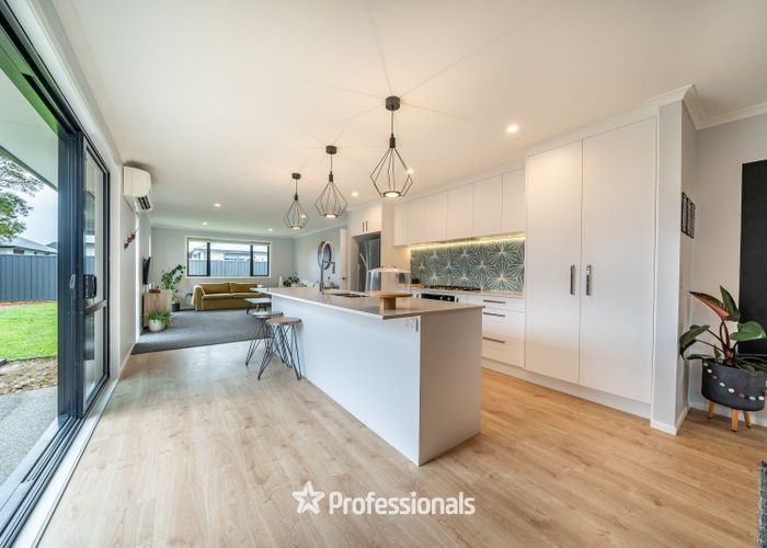  at 113 Mawai Hakona Drive, Wallaceville, Upper Hutt, Wellington