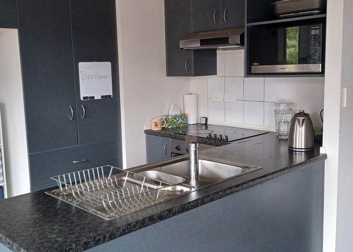  at 64 Woodbank Drive, Glen Eden, Waitakere City, Auckland