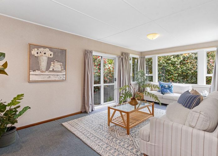  at 3 Sealy Place, Bryndwr, Christchurch