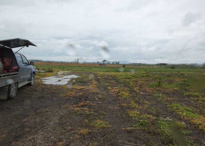 at 57 Heawa Road, ARATAPU, DARGAVILLE