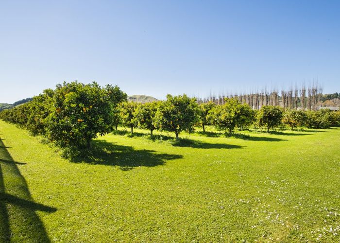  at 1286 Matawai Road, Ormond, Gisborne