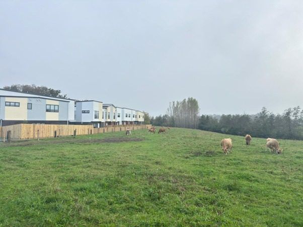  at 19/35 Young Crescent, Drury, Papakura, Auckland
