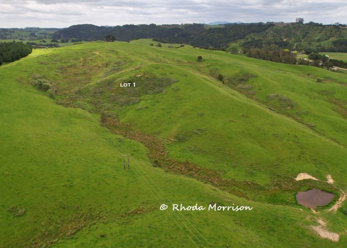  at 0 Golden Stairs Rd, Maungaturoto, Kaipara, Northland