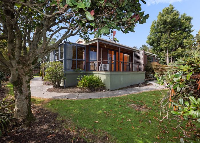  at 37 Cameron Road, Te Puke, Western Bay Of Plenty, Bay Of Plenty