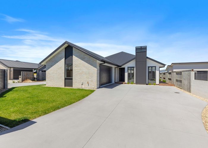  at 53 Cotula Way, Papamoa, Tauranga, Bay Of Plenty