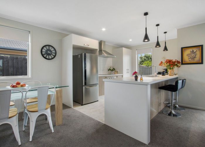  at 9 Opou Place, Katikati, Western Bay Of Plenty, Bay Of Plenty