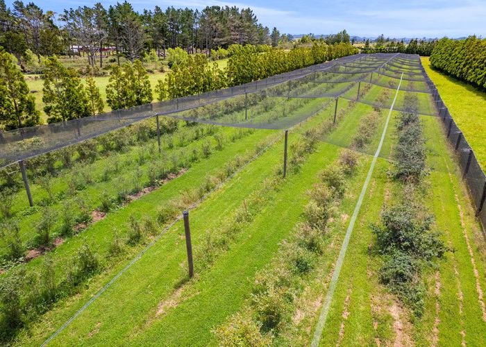  at 438B Alfred Road, Egmont Village, New Plymouth, Taranaki