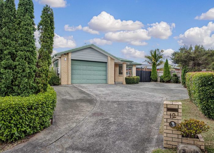  at 12 Watersfield Place, Flat Bush, Auckland