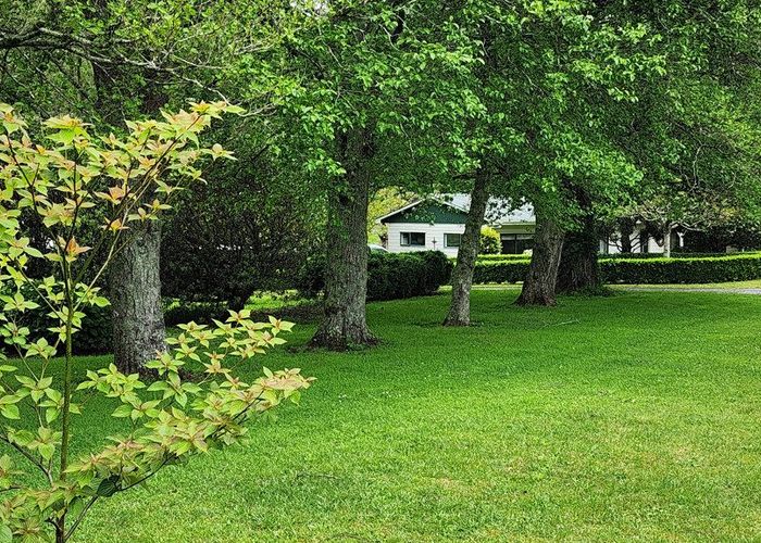  at 172 Belk Road, Omanawa, Western Bay Of Plenty, Bay Of Plenty