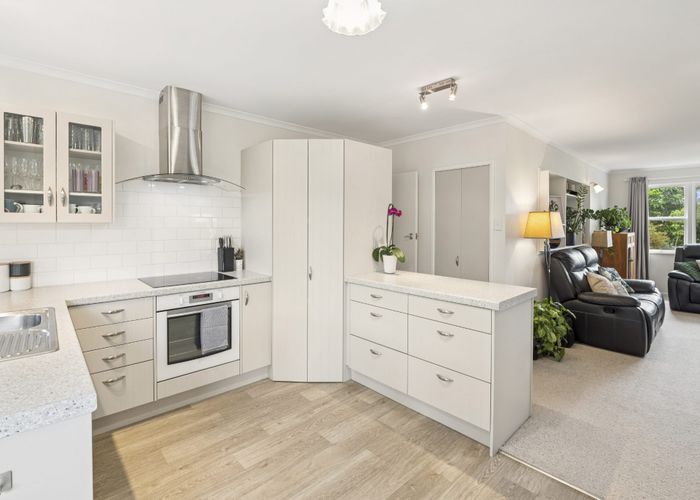  at 12 Galbraith Street, Springfield, Rotorua, Bay Of Plenty