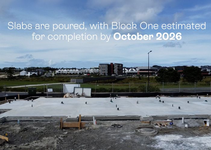  at 61 Te Taruna Drive, Milldale, Rodney, Auckland