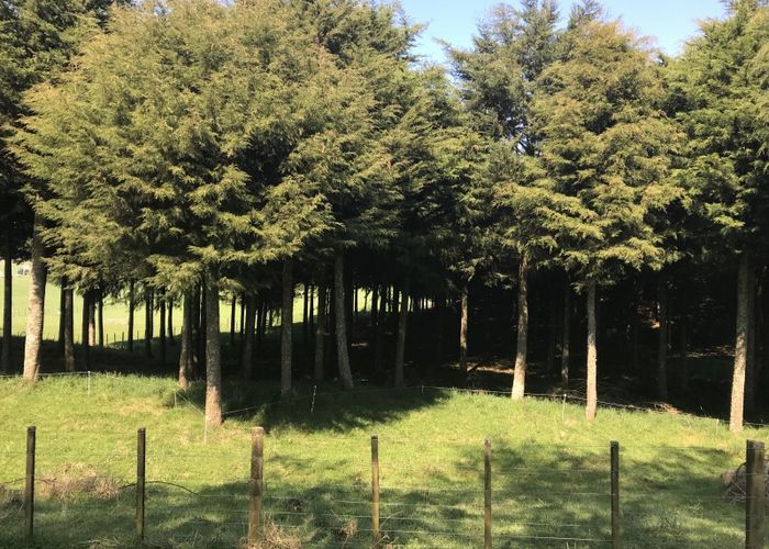  at 67 Tangye Road, Oruanui