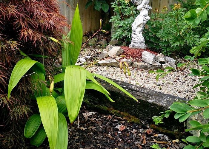  at 20 Maire Street, Tahunanui, Nelson, Nelson / Tasman