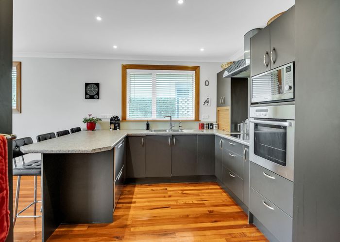  at 17 Northfield Avenue, Opoho, Dunedin, Otago